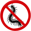 Centipede Pest Control