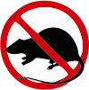 Rat Pest Control services